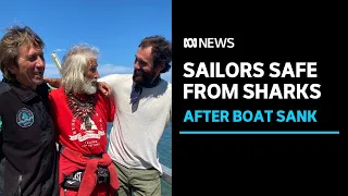 Overseas crew safe in Australia after sharks sunk catamaran | ABC News