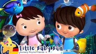 10 kleine Fische | Karikatur und Kinderlieder | Little Baby Bum | Moonbug Kids Deutsch