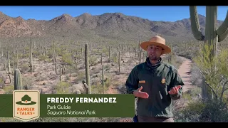 Ranger Talks - Saguaro National Park