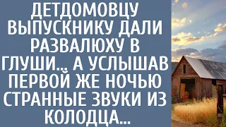 Детдомовцу-выпускнику дали развалюху в глуши… А услышав первой же ночью странные звуки из колодца…