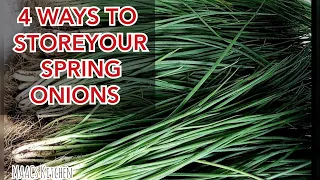 Four Ways To Store Your Spring Onions For Long