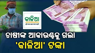 Odisha Govt Transferred Rs 639 CR To 34 Lakh Farmers Accounts Under 'KALIA' Scheme || KalingaTV