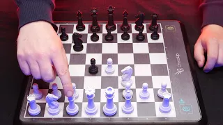 A Brand New Way To Study Chess ♔ ASMR ♔ Paul Morphy vs Adolph Anderssen