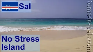 No Stress Island...: Sal [23x03]