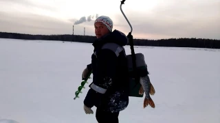 Прикол на рыбалке . Улов не влезает в ящик .