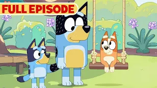 Bluey Full Episode | Born Yesterday | S3 E5 | Full Episode | @disneyjunior