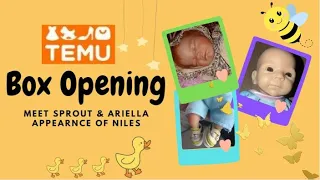 Temu | Meet Sprout & Ariella | Appearance of Niles