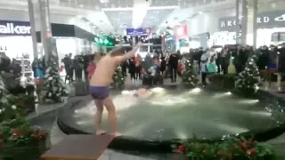 два пьяных "дельфина" в фонтане торгового центра.Two drunk "dolphin" in the fountain