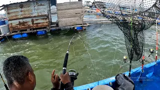 KAMI DI SERANG IKAN TAK SEMPAT NAK MAKAN NASI