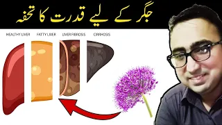 This Herb is the #1 Absolute BEST For Liver Diseases [ Evidence Based ] - Dr Muhammad Javaid