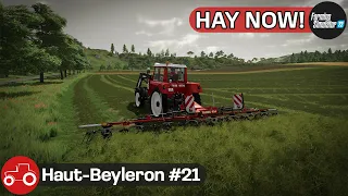 Making hay, Harvesting Sorghum, Selling Silage - Haut-Beyleron #21 FS22 Timelapse