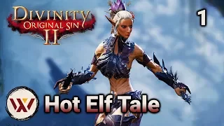 Hot Elf Tale #1 - Divinity: Original Sin 2 Tactician Gameplay & Roleplay
