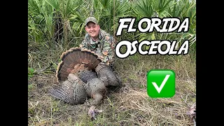 Public Land Osceola Turkey Hunting: Killed a bird on OPENING DAY! (SNS #21)