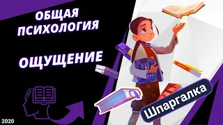 Общая психология. Ощущение - краткий экскурс #ДомаВместе