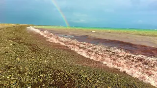 МОРЕ СТАЛО КРАСНЫМ В НОВОРОССИЙСКЕ…ПЛЯЖ АЛЕКСИНО… ЧТО ПРОИСХОДИТ?