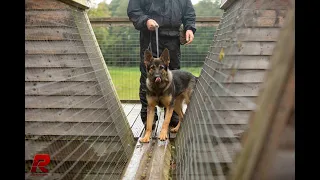 Opening the doors to our Police Dog Training Centre