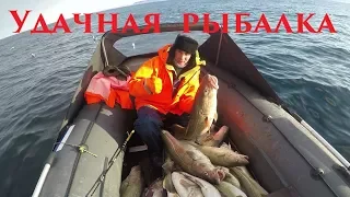 Удачная весенняя рыбалка / Треска / Successful spring fishing / Cod