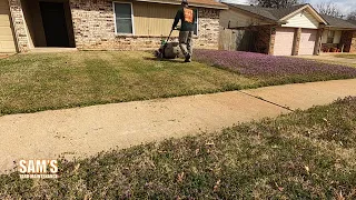 Lawn invaded by purple weeds (Henbit) | Oddly Satisfying | 1st mow 2021 | 2nd lawn care season