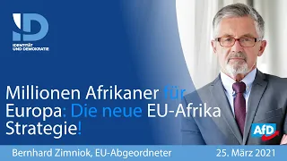 Millionen Afrikaner für Europa: Die neue EU-Afrika Strategie! - Bernhard Zimniok (AfD)