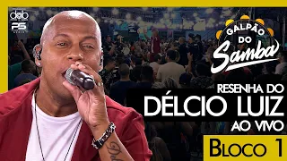 Resenha do Delcio Luiz no Galpão do Samba ao vivo - Bloco 1