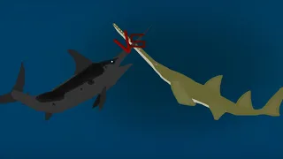 DCBA: Swordfish VS Sawfish