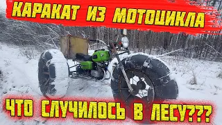 ПРИКЛЮЧЕНИЯ НА КАРАКАТЕ!!! КАРАКАТ ТРИЦИКЛ ИЗ МОТОЦИКЛА. ЧТО СДЕЛАЛИ С КАРАКАТОМ В ЛЕСУ?