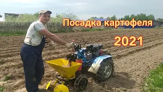 Посадка картофеля мотоблоком с картофелесажалкой 2021.