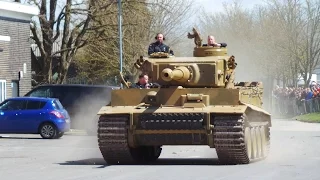 Tiger Day 30.04.2016 including Tiger 131