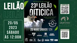 23º LEILAO OITICICA