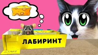 ЛАБИРИНТ для МЫШКИ СВОИМИ РУКАМИ! Как сделать ЛАБИРИНТ?