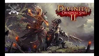 Divinity - Original Sin 2 #9 Flucht von der Insel?