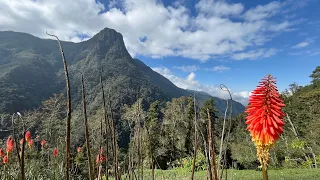 Cocora-Valley, Colombia - “Layla” chapman stick cover