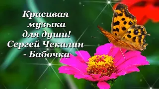 Красивая музыка для души! Сергей Чекалин - Бабочка💌🌺🌺🌺