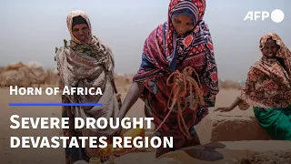 Worst drought in decades devastates Horn of Africa | AFP