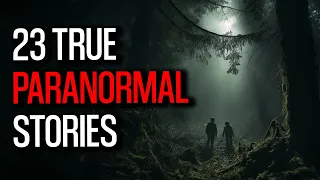 23 Mind Bending Paranormal Encounters Unveiled - The Enigmatic Encounter in Parallel Forest