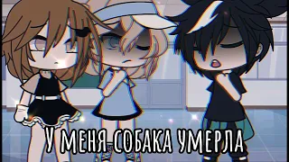 ~ Топ 30 meme Которые мне нравятся ~ gacha life, gacha club, gacha animator ~