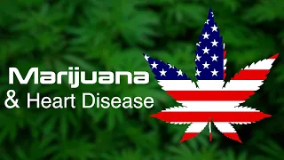 Marijuana & Heart Disease