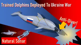 Russian Trained Dolphins Deployed To Ukraine War