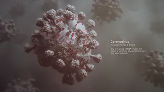 The Coronavirus Outbreak | Random42 Scientific Communication