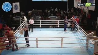 23rd Hungarian Kickboxing World Cup – 2017 Budapest, WAKO; Final Match: K1 -86kg