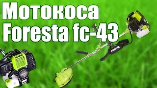 Мотокоса Foresta fc-43 Обзор + тест