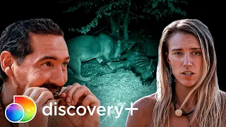 Kaiela e Tim se sentem ameaçados por leões | Largados e Pelados | discovery+ Brasil