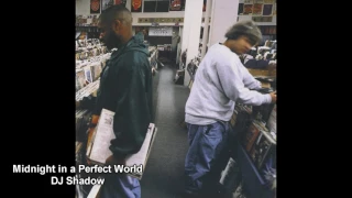 DJ Shadow - Midnight in a perfect world (Sample breakdown)
