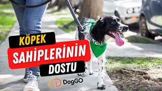 Köpek Sahiplerinin Dostu DogGO - Köpek ile Yaşam