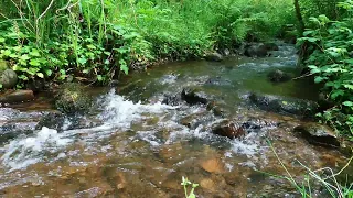 Relax With The Soothing Sounds Of A Babbling Brook On A Beautiful Spring Day #relaxingstreamsounds