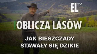 Jak Bieszczady stawały się dzikie | OBLICZA LASÓW #143