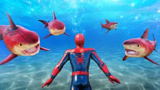 GTA 5 Epic Ragdolls | Spider-Shark vs SPIDERMAN ep.1 (Euphoria Physics)