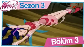 Winx Club - 3. Sezon 3. Bölüm | Peri Ve Canavar! - [TAM EKRAN]