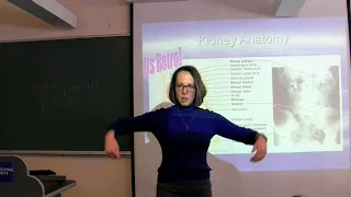 AP II Chapter 25 Urinary System MASTER