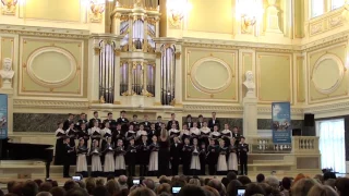 Сводный хор «Cantus Cor» Детской школы искусств № 6 (Липецк), IV ДЮХЧМ 1/2 финала 26.02.17